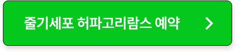 줄기세포 허파고리람스 예약